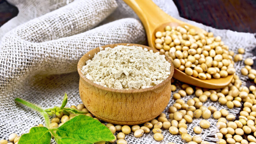 Entenda qual a diferença entre farinha de soja ativa, farinha de soja inativa e extrato de soja