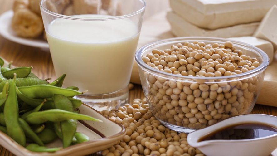 Proteína de soja: receitas simples e deliciosas que vão surpreender seu paladar