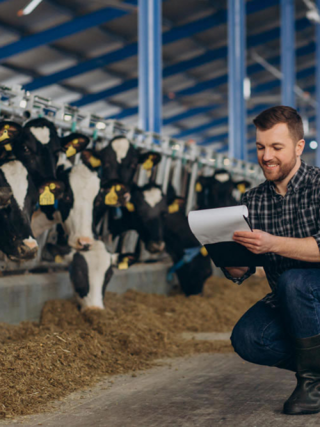 Benefícios da Lecitina de Soja na Nutrição Animal